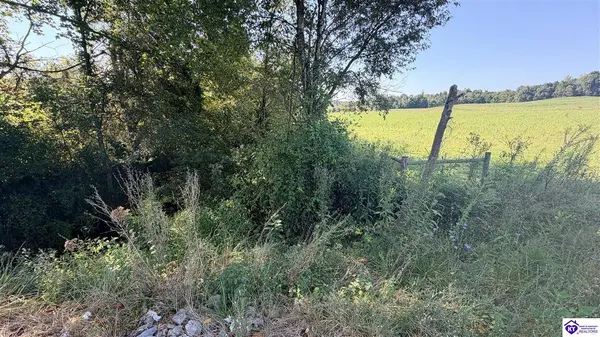 Lot 2B-14153 St John Road, Rineyville, KY 42788