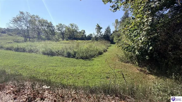 Lot 2B-14153 St John Road, Rineyville, KY 42788