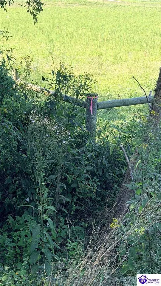 Lot 2B-14153 St John Road, Rineyville, KY 42788