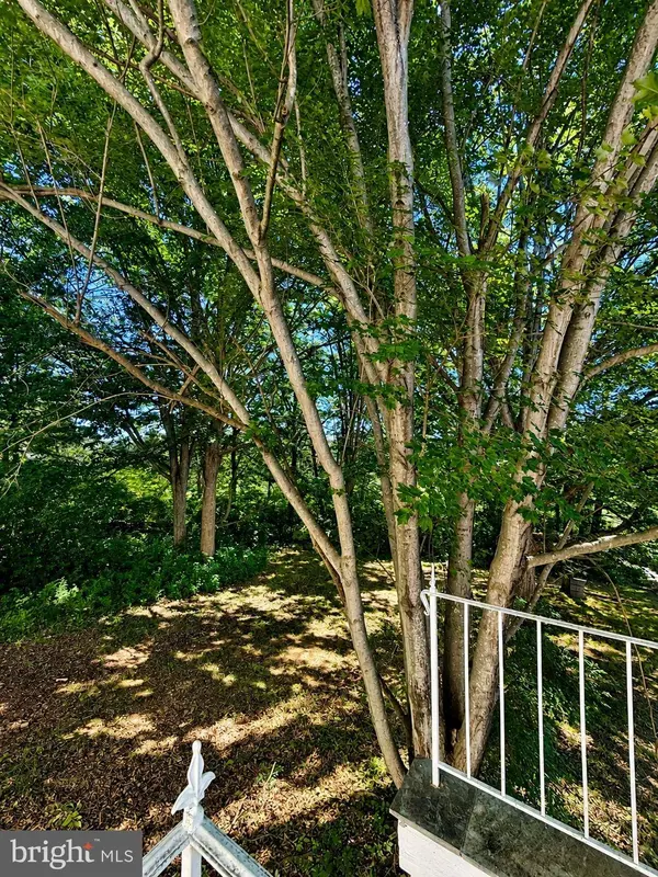435 BOWLING GREEN RD, Front Royal, VA 22630