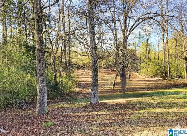 210 Highway 204, Montevallo, AL 35115-7508