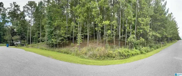 303 BARON CIRCLE #14, Chelsea, AL 35043