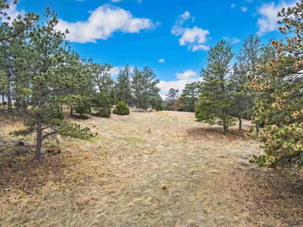 Lot LAKE HILLS RD #Lot 7, Hot Springs, SD 57747