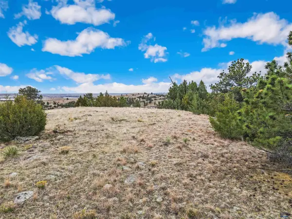Lot 19 LAKE HILLS RD #Lot 19, Hot Springs, SD 57747