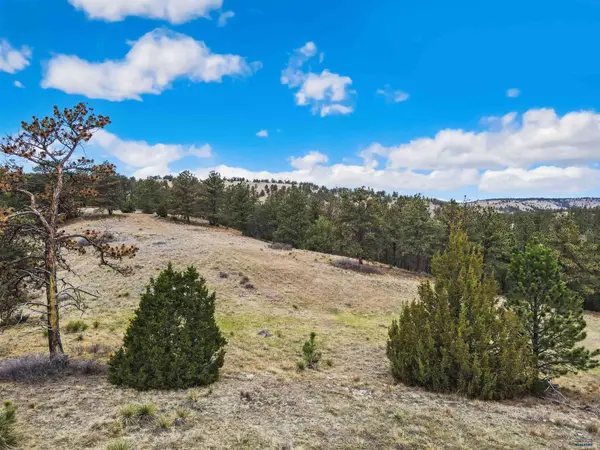Lot 26 LAKE HILLS RD #Lot 26, Hot Springs, SD 57747