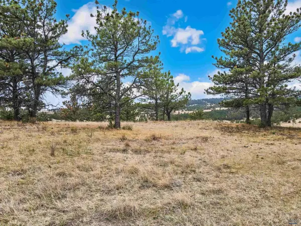 Lot 24 LAKE HILLS RD #Lot 24, Hot Springs, SD 57747