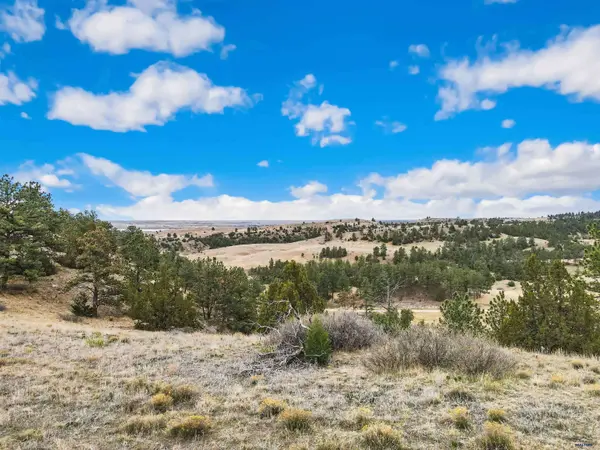 Lot 25 LAKE HILLS RD #Lot 25, Hot Springs, SD 57747