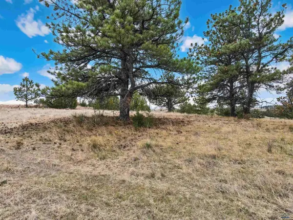 Lot 24 LAKE HILLS RD #Lot 24, Hot Springs, SD 57747