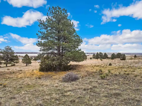Lot 5 LAKE HILLS RD #Lot 5, Hot Springs, SD 57747