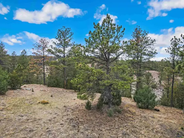 Lot LAKE HILLS RD #Lot 7, Hot Springs, SD 57747