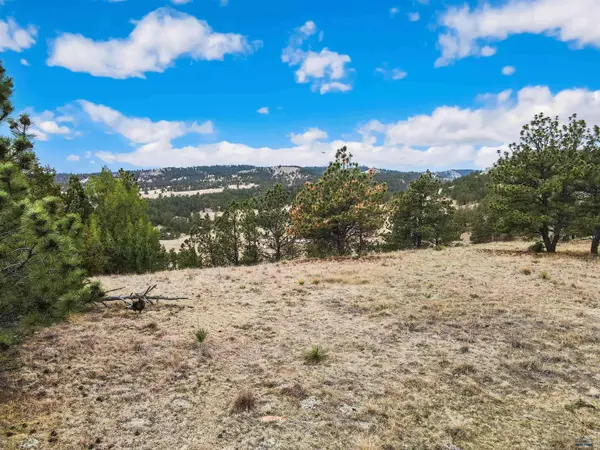 Lot 21 LAKE HILLS RD #Lot 21, Hot Springs, SD 57747