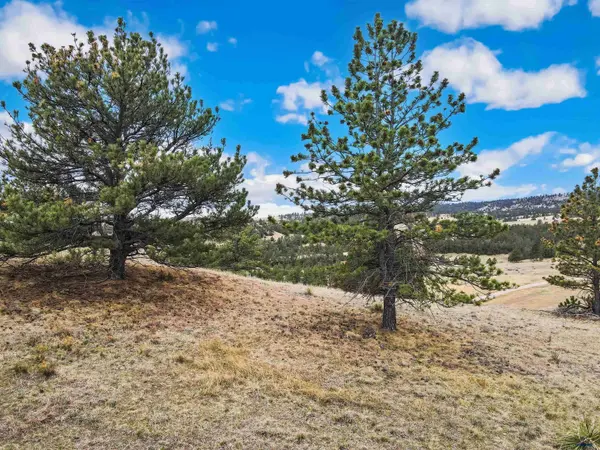 Lot 26 LAKE HILLS RD #Lot 26, Hot Springs, SD 57747