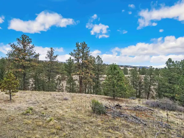 Lot 8 LAKE HILLS RD #Lot 8, Hot Springs, SD 57747