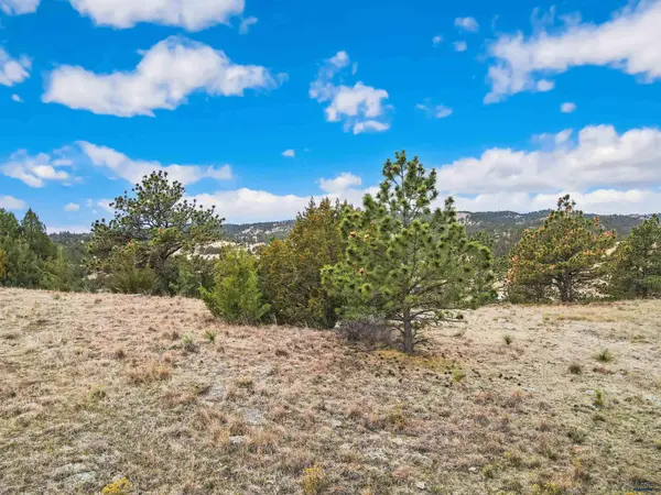 Lot 22 LAKE HILLS RD #Lot 22, Hot Springs, SD 57747
