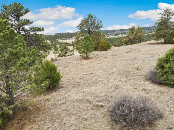Lot 25 LAKE HILLS RD #Lot 25, Hot Springs, SD 57747