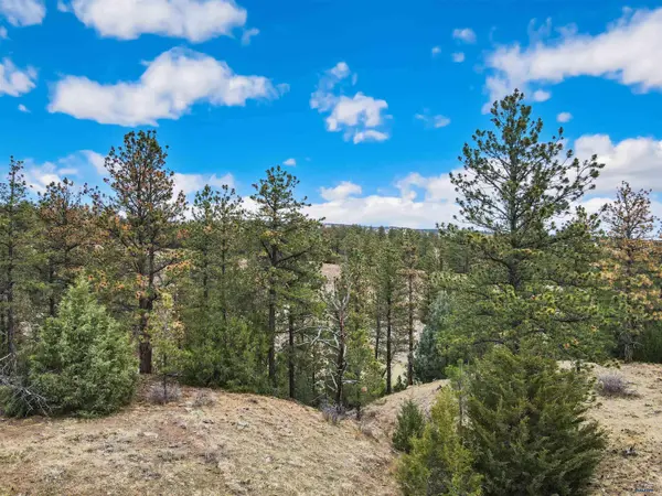 Lot 6 LAKE HILLS RD #Lot 6, Hot Springs, SD 57747