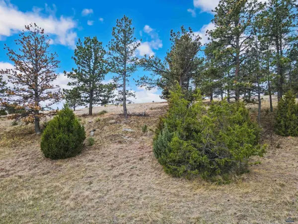 Lot 8 LAKE HILLS RD #Lot 8, Hot Springs, SD 57747