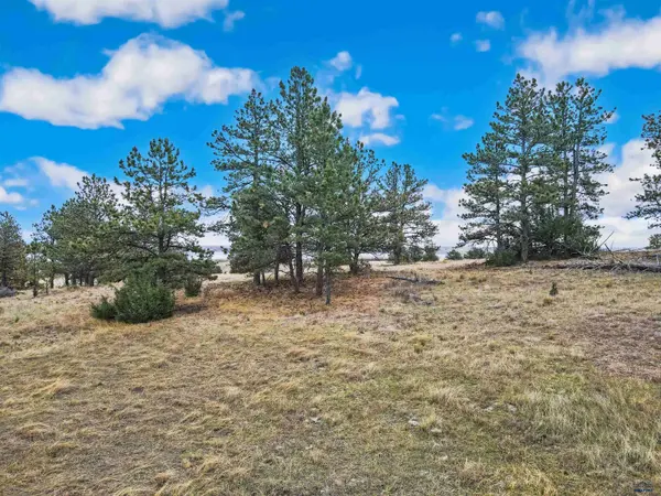 Lot LAKE HILLS RD #Lot 7, Hot Springs, SD 57747