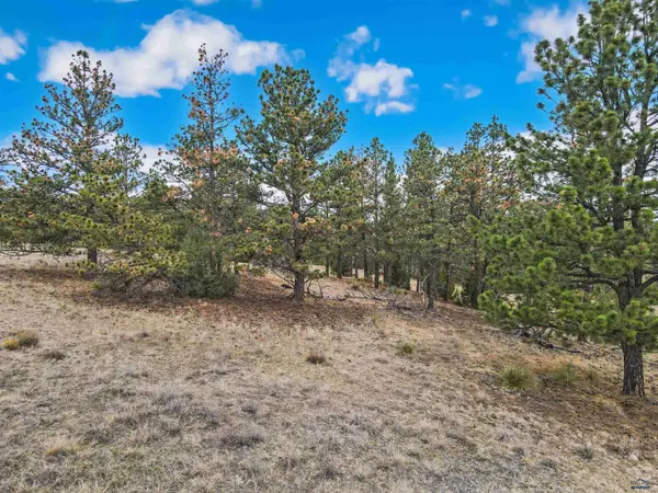 Lot 6 LAKE HILLS RD #Lot 6, Hot Springs, SD 57747