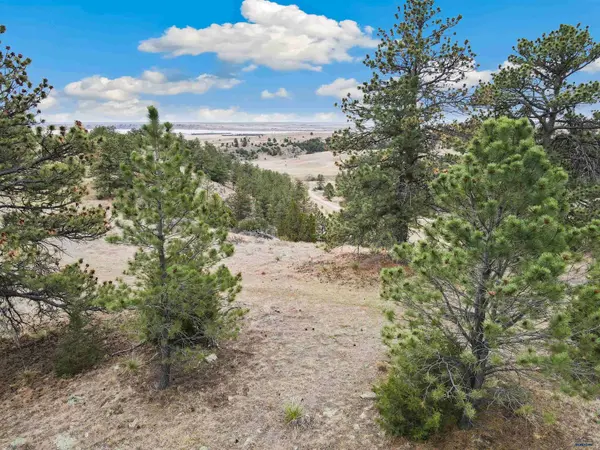 Lot 26 LAKE HILLS RD #Lot 26, Hot Springs, SD 57747