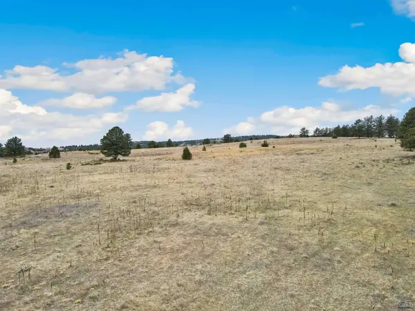 Lot 15 LAKE HILLS RD #Lot 15, Hot Springs, SD 57747