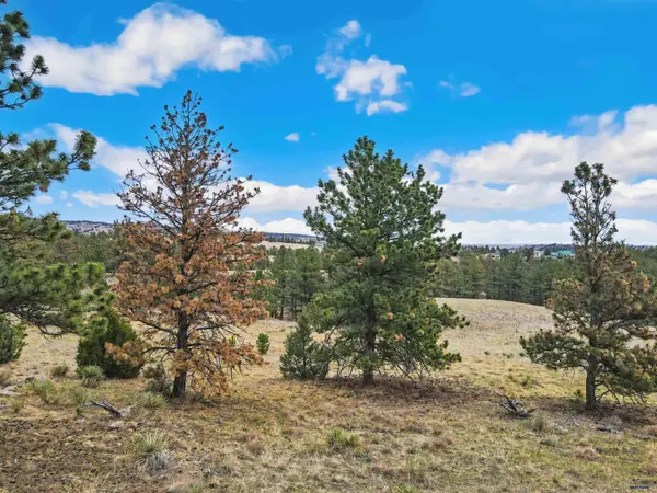 Lot 6 LAKE HILLS RD #Lot 6, Hot Springs, SD 57747