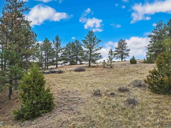 Lot 8 LAKE HILLS RD #Lot 8, Hot Springs, SD 57747