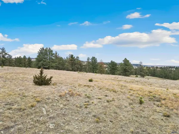 Lot 19 LAKE HILLS RD #Lot 19, Hot Springs, SD 57747