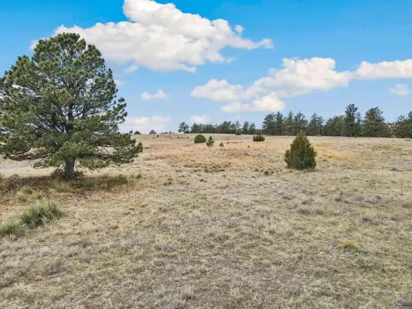 Lot 11 LAKE HILLS RD #Lot 11, Hot Springs, SD 57747