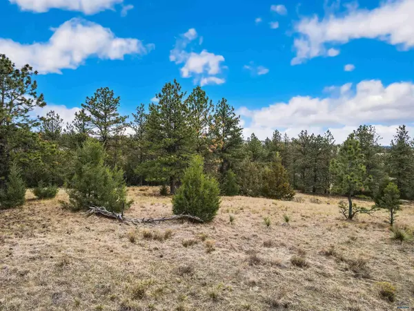 Lot 5 LAKE HILLS RD #Lot 5, Hot Springs, SD 57747