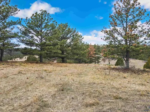 Lot 24 LAKE HILLS RD #Lot 24, Hot Springs, SD 57747