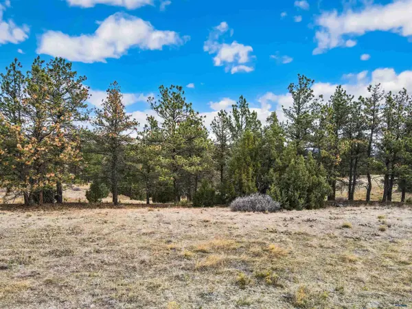 Lot 23 LAKE HILLS RD #Lot 23, Hot Springs, SD 57747