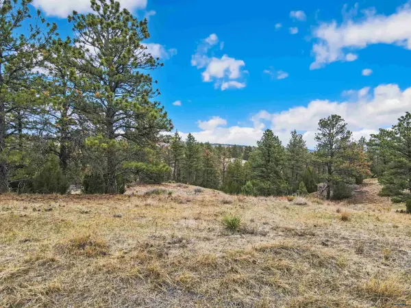 Lot 24 LAKE HILLS RD #Lot 24, Hot Springs, SD 57747