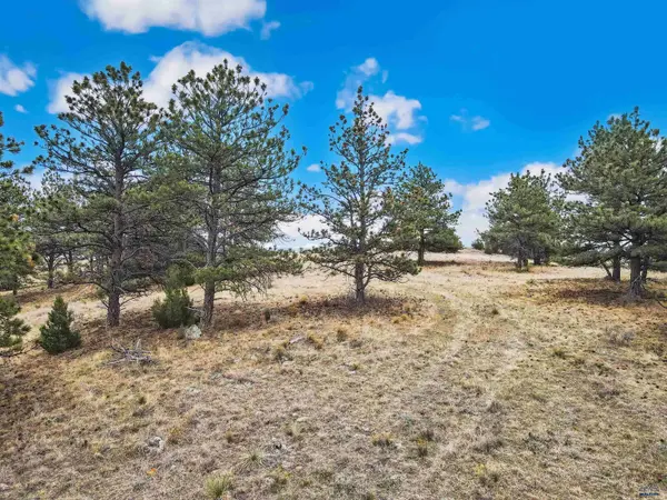 Lot 26 LAKE HILLS RD #Lot 26, Hot Springs, SD 57747