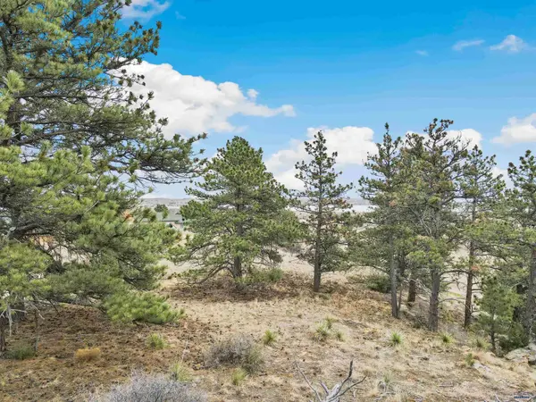 Lot 12 LAKE HILLS RD #Lot 12, Hot Springs, SD 57747