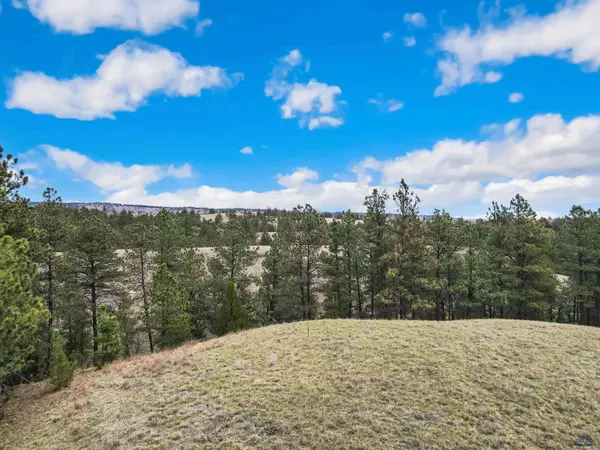 Lot 8 LAKE HILLS RD #Lot 8, Hot Springs, SD 57747