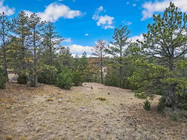 Lot 8 LAKE HILLS RD #Lot 8, Hot Springs, SD 57747