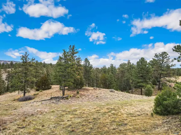 Lot 26 LAKE HILLS RD #Lot 26, Hot Springs, SD 57747