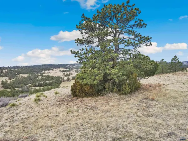 Lot 19 LAKE HILLS RD #Lot 19, Hot Springs, SD 57747
