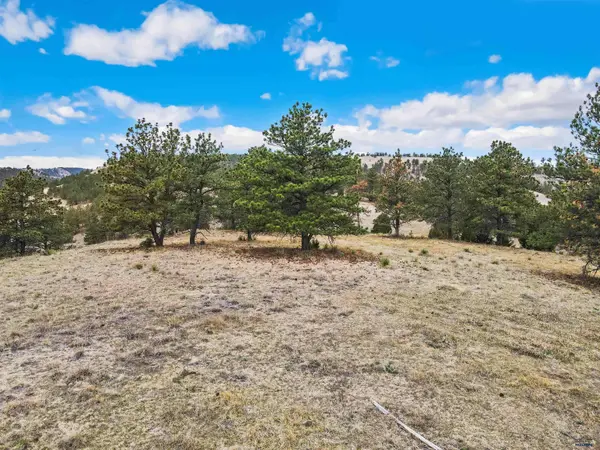 Lot 20 LAKE HILLS RD #Lot 20, Hot Springs, SD 57747