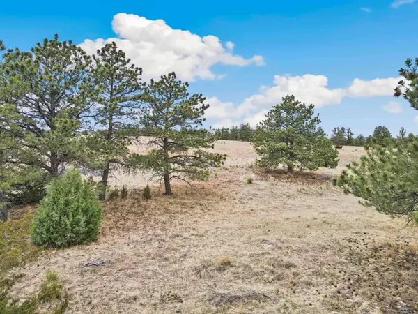 Lot 12 LAKE HILLS RD #Lot 12, Hot Springs, SD 57747