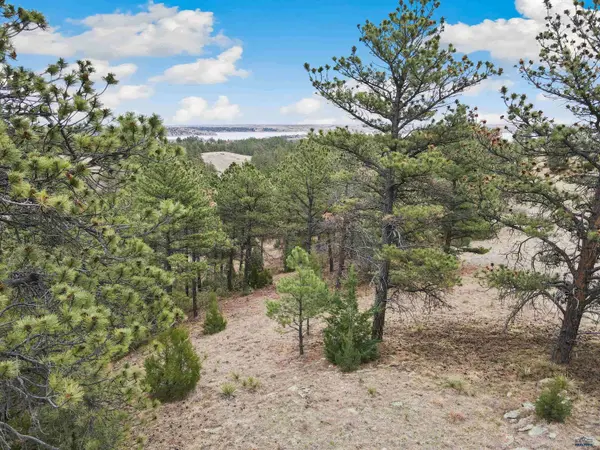 Lot 2 LAKE HILLS RD #Lot 2, Hot Springs, SD 57747