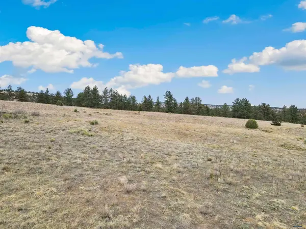 Lot 17 LAKE HILLS RD #Lot 17, Hot Springs, SD 57747