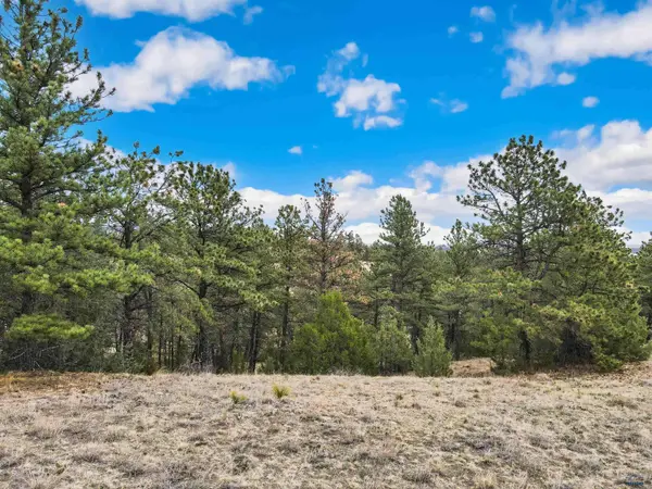 Lot 26 LAKE HILLS RD #Lot 26, Hot Springs, SD 57747