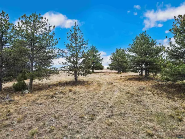 Lot 26 LAKE HILLS RD #Lot 26, Hot Springs, SD 57747