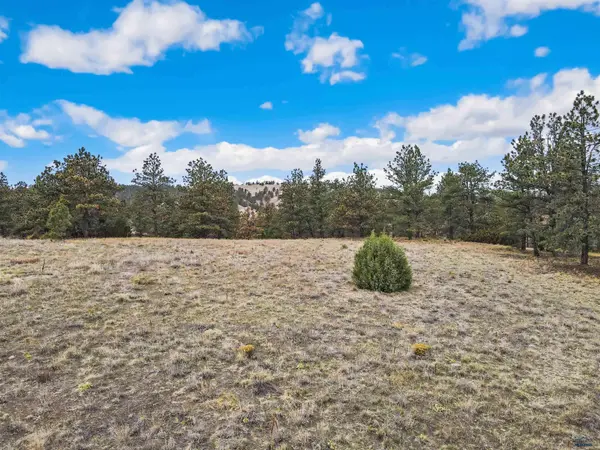 Lot LAKE HILLS RD #Lot 7, Hot Springs, SD 57747
