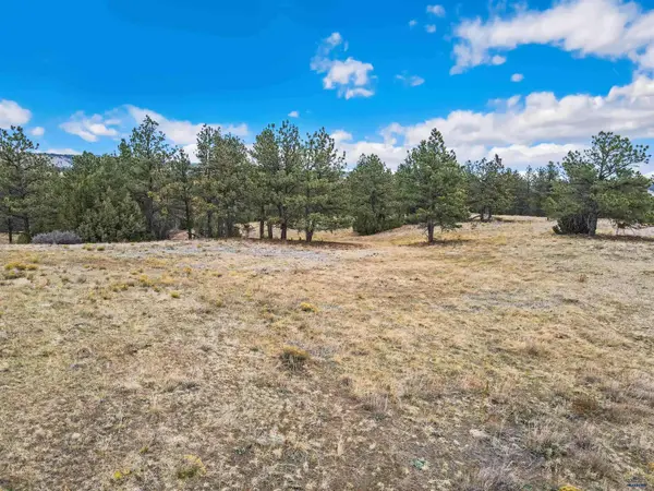 Lot LAKE HILLS RD #Lot 7, Hot Springs, SD 57747