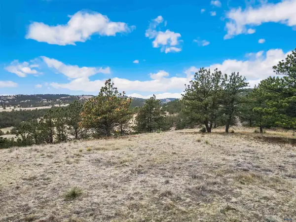 Lot 21 LAKE HILLS RD #Lot 21, Hot Springs, SD 57747