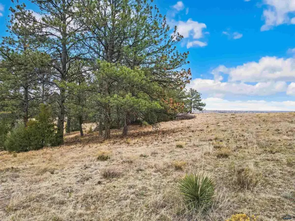 Lot 24 LAKE HILLS RD #Lot 24, Hot Springs, SD 57747