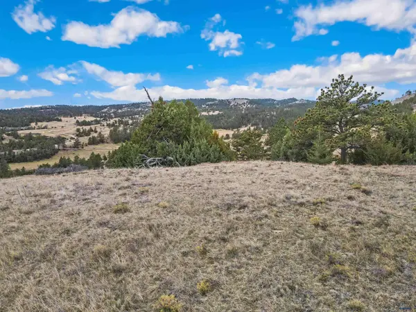Lot 21 LAKE HILLS RD #Lot 21, Hot Springs, SD 57747
